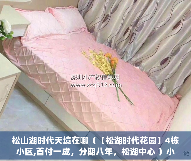 松山湖时代天境在哪（【松湖时代花园】4栋小区,首付一成，分期八年，松湖中心 ）小产权房买卖纠纷多久立案，