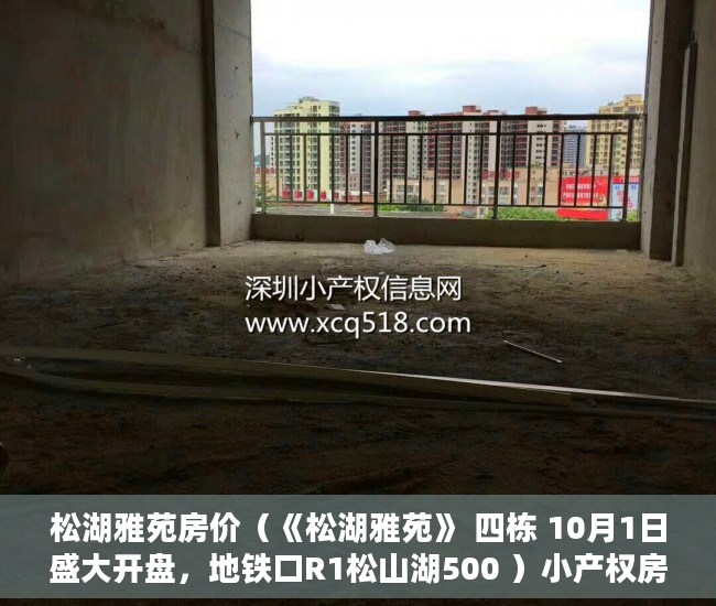 松湖雅苑房价（《松湖雅苑》 四栋 10月1日盛大开盘，地铁口R1松山湖500 ）小产权房多久可以更名，
