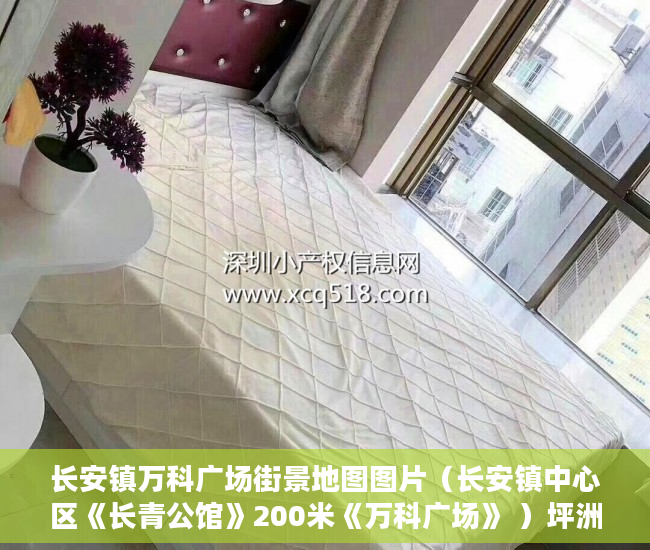 长安镇万科广场街景地图图片（长安镇中心区《长青公馆》200米《万科广场》 ）坪洲小产权房怎么样，