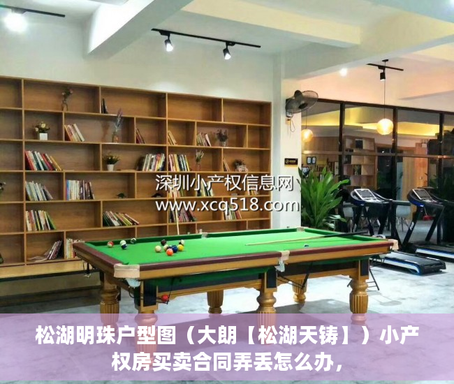 松湖明珠户型图（大朗【松湖天铸】）小产权房买卖合同弄丢怎么办，