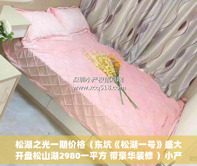 松湖之光一期价格（东坑《松湖一号》盛大开盘松山湖2980一平方 带豪华装修 ）小产权房建10层要多久，