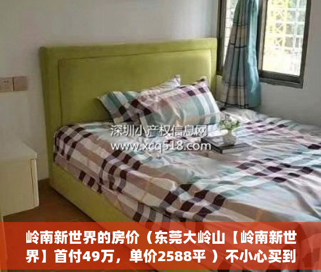 岭南新世界的房价（东莞大岭山【岭南新世界】首付49万，单价2588平 ）不小心买到小产权房怎么打官司，