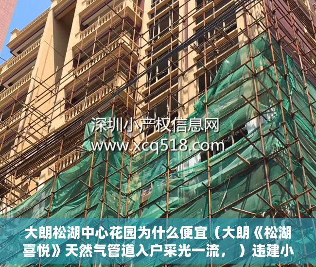 大朗松湖中心花园为什么便宜（大朗《松湖喜悦》天然气管道入户采光一流， ）违建小产权房过多久就不能拆了，