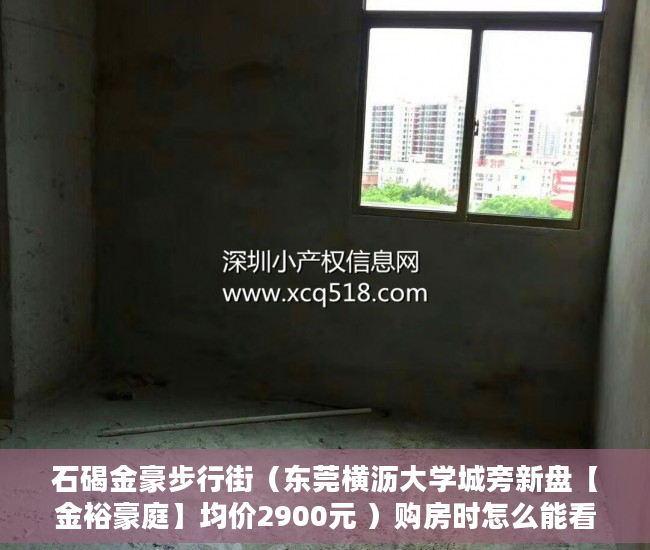 石碣金豪步行街（东莞横沥大学城旁新盘【金裕豪庭】均价2900元 ）购房时怎么能看出是大小产权，