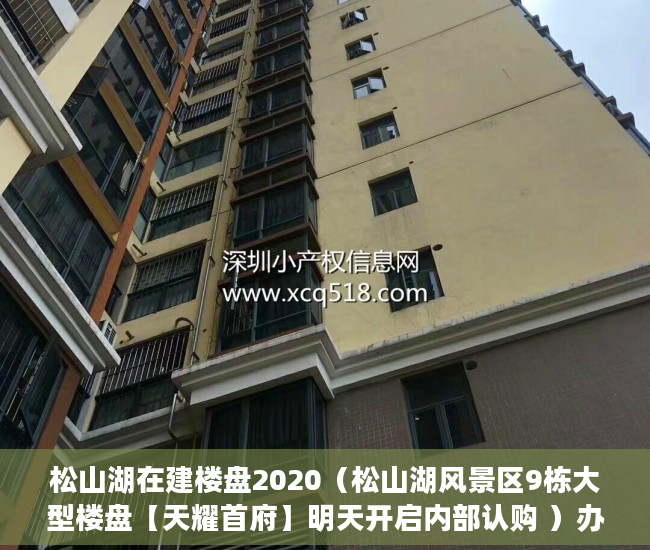 松山湖在建楼盘2020（松山湖风景区9栋大型楼盘【天耀首府】明天开启内部认购 ）办小产权证要多久，