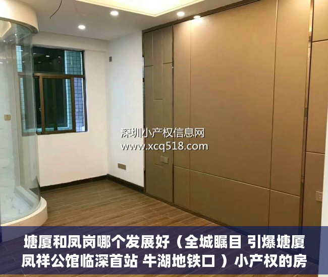 塘厦和凤岗哪个发展好（全城瞩目 引爆塘厦凤祥公馆临深首站 牛湖地铁口 ）小产权的房贷可以办多久的，