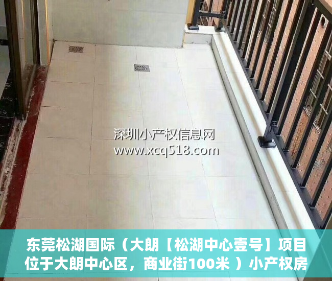 东莞松湖国际（大朗【松湖中心壹号】项目位于大朗中心区，商业街100米 ）小产权房两人怎么相互制约，