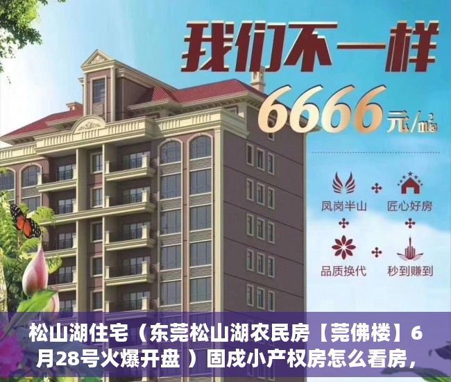 松山湖住宅（东莞松山湖农民房【莞佛楼】6月28号火爆开盘 ）固戍小产权房怎么看房，