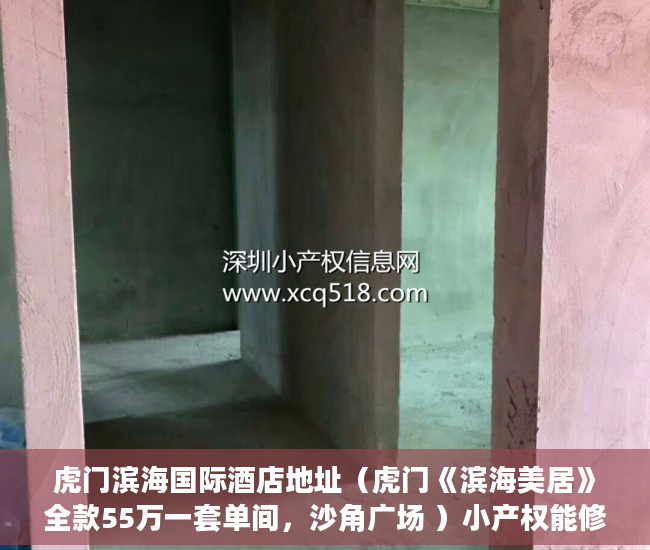 虎门滨海国际酒店地址（虎门《滨海美居》全款55万一套单间，沙角广场 ）小产权能修房子多久，