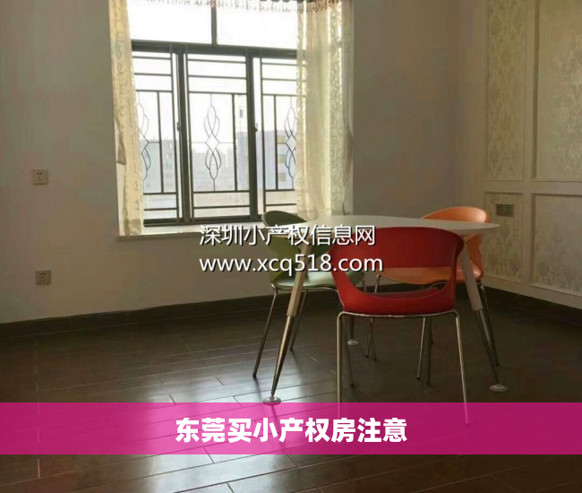 东莞买小产权房注意