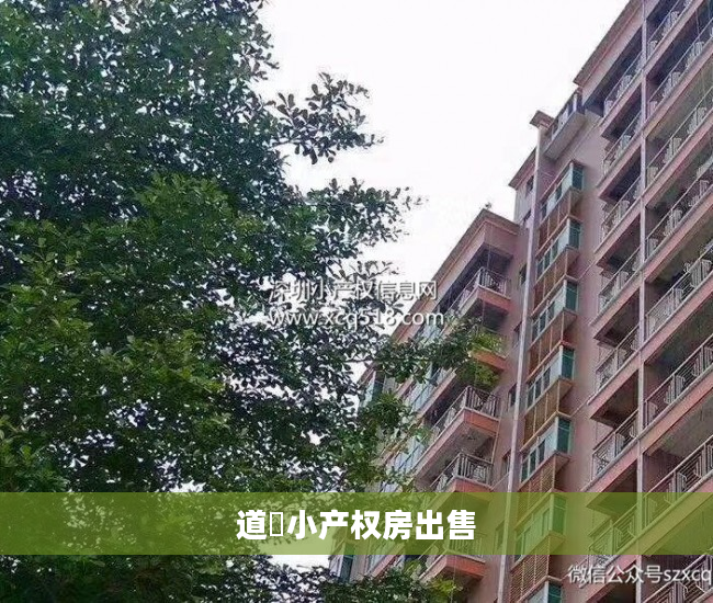 道滘小产权房出售