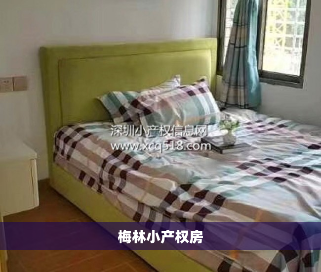 梅林小产权房