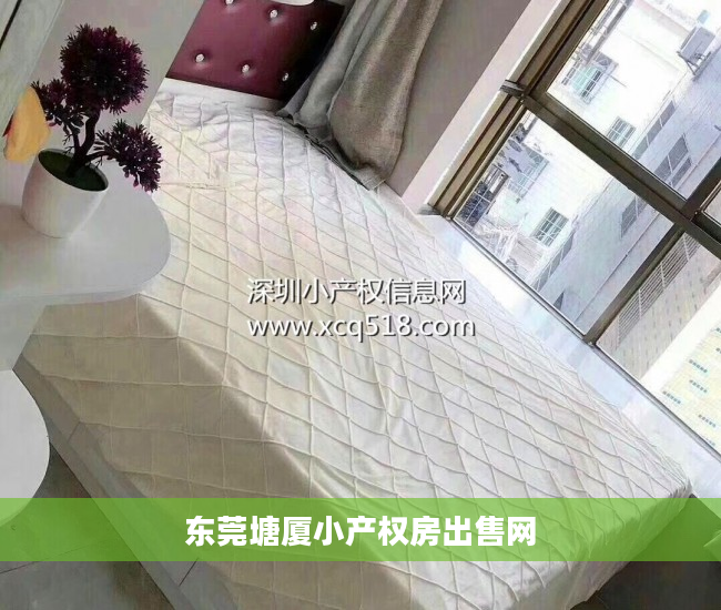 东莞塘厦小产权房出售网