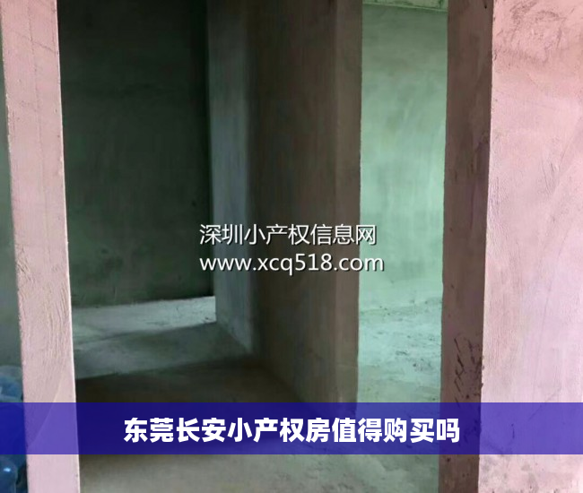 东莞长安小产权房值得购买吗
