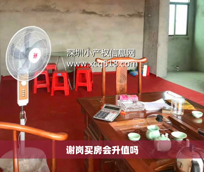 谢岗买房会升值吗