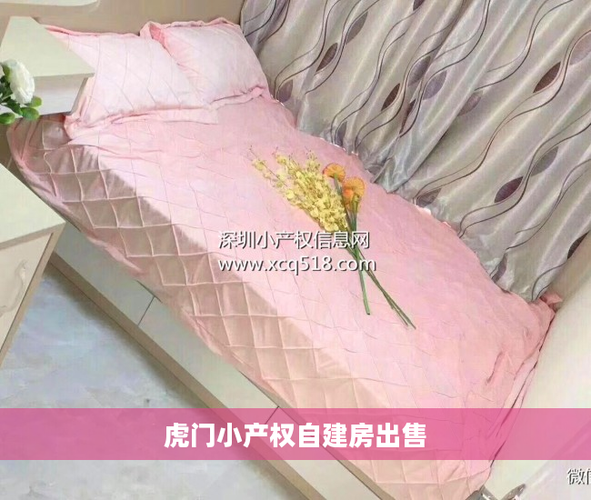 虎门小产权自建房出售