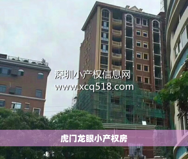 虎门龙眼小产权房