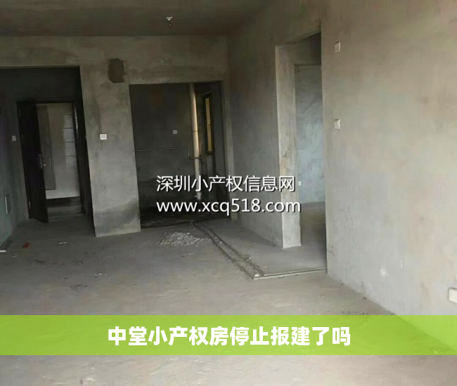 中堂小产权房停止报建了吗