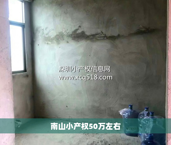 南山小产权50万左右