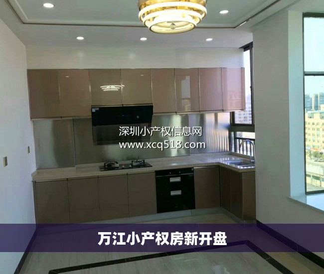 万江小产权房新开盘