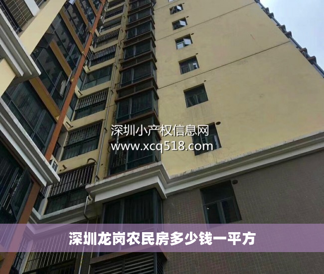 深圳龙岗农民房多少钱一平方
