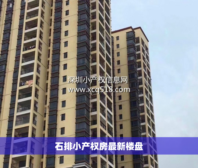 石排小产权房最新楼盘 石排小产权房最新楼盘