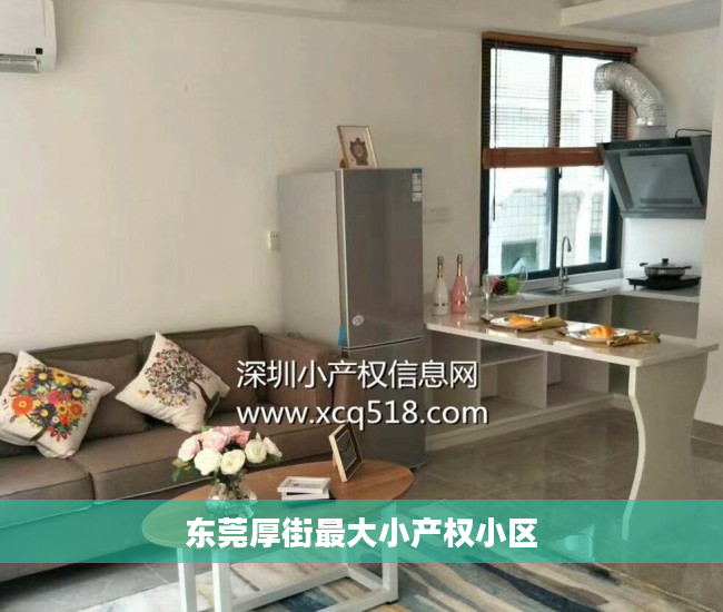 东莞厚街最大小产权小区
