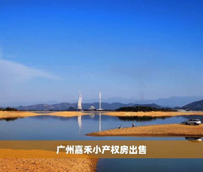 广州嘉禾小产权房出售