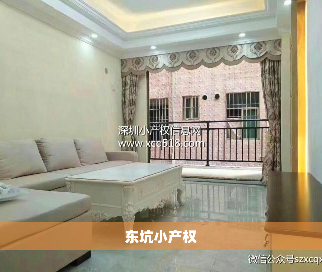 东坑小产权
