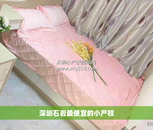 深圳石岩最便宜的小产权