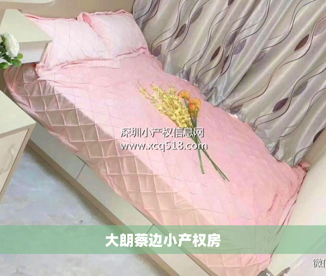 大朗蔡边小产权房