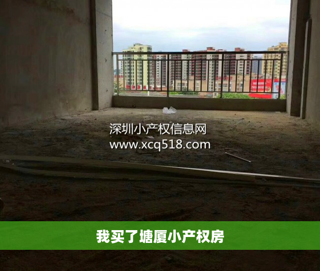 我买了塘厦小产权房
