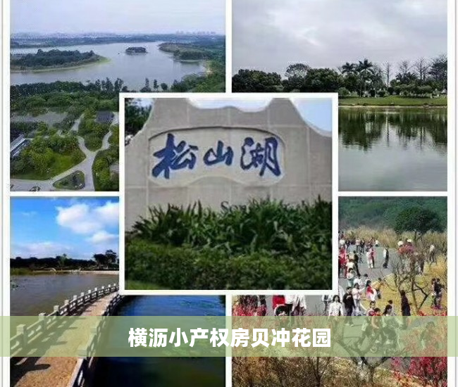 横沥小产权房贝冲花园