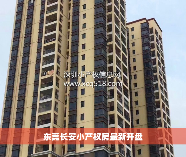 东莞长安小产权房最新开盘