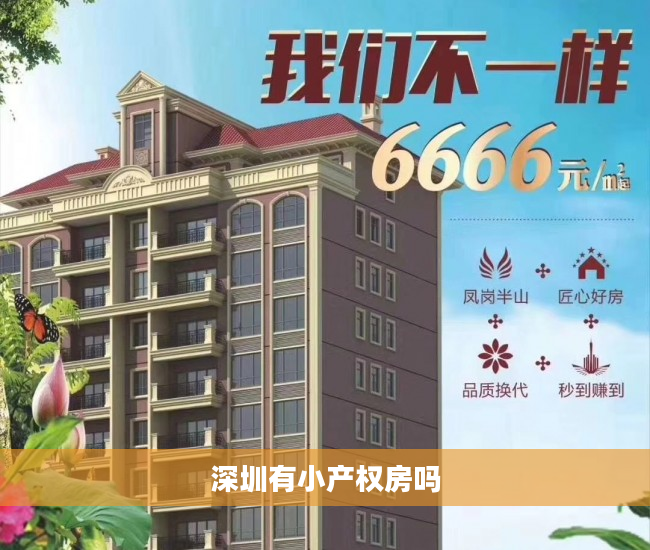 深圳有小产权房吗