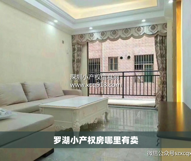 罗湖小产权房哪里有卖