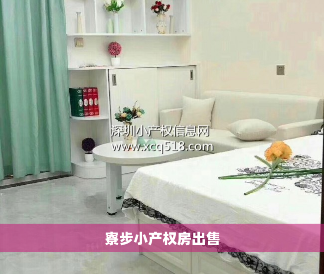 寮步小产权房出售
