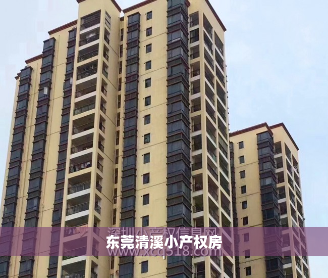 东莞清溪小产权房