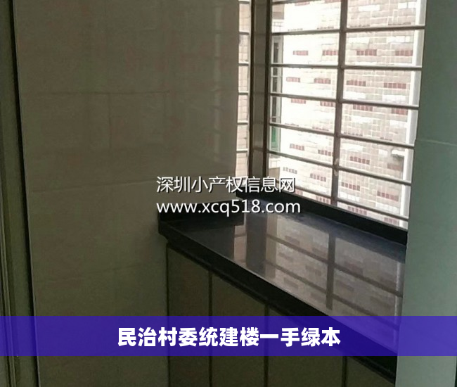 民治村委统建楼一手绿本
