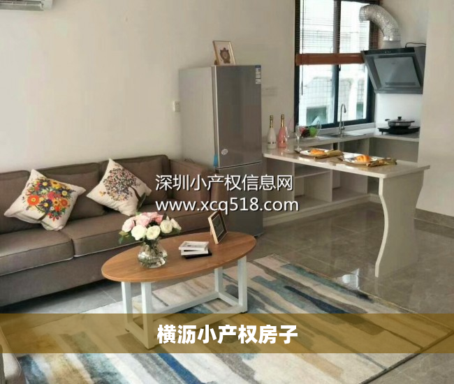 横沥小产权房子