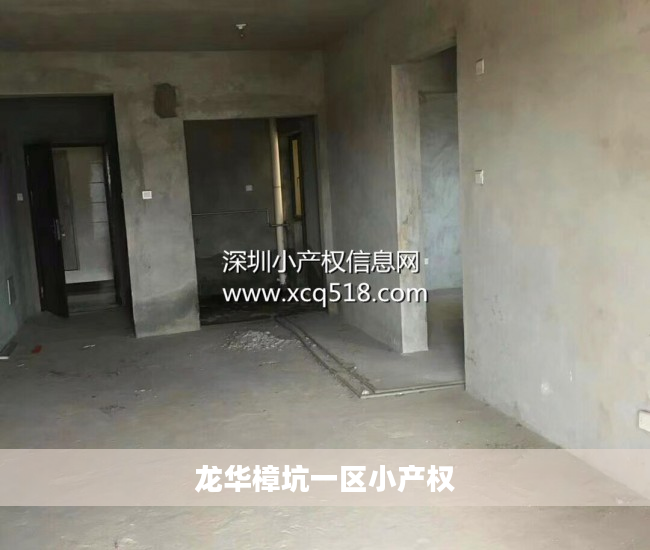 龙华樟坑一区小产权