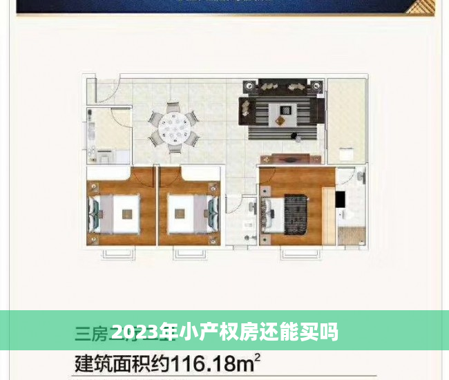2023年小产权房还能买吗