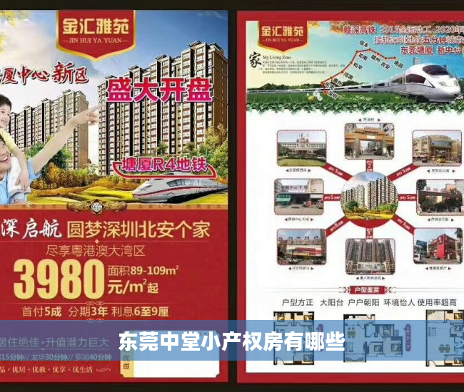 东莞中堂小产权房有哪些