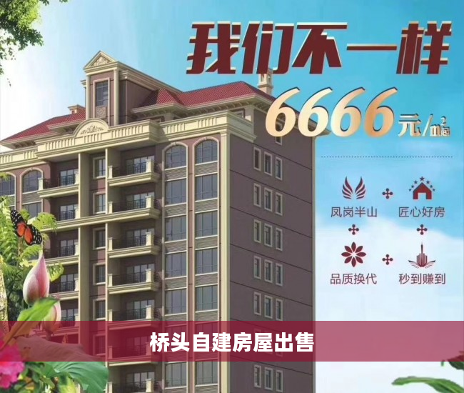 桥头自建房屋出售