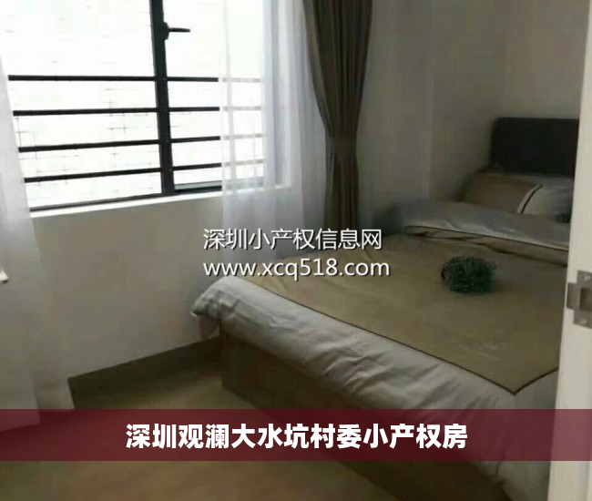 深圳观澜大水坑村委小产权房