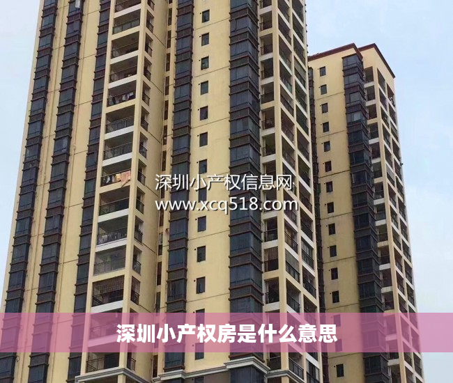 深圳小产权房是什么意思