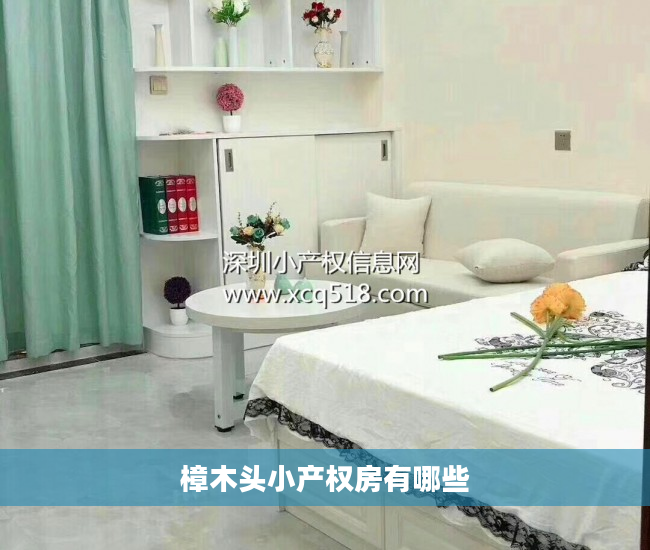樟木头小产权房有哪些