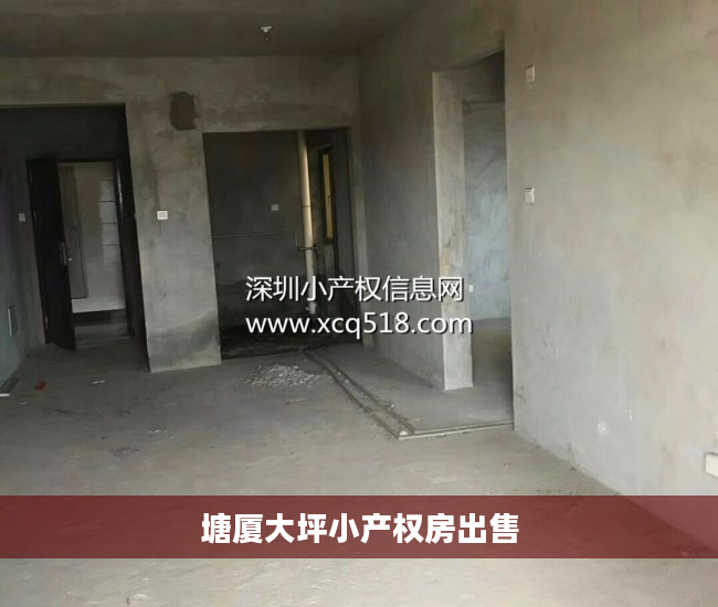 塘厦大坪小产权房出售