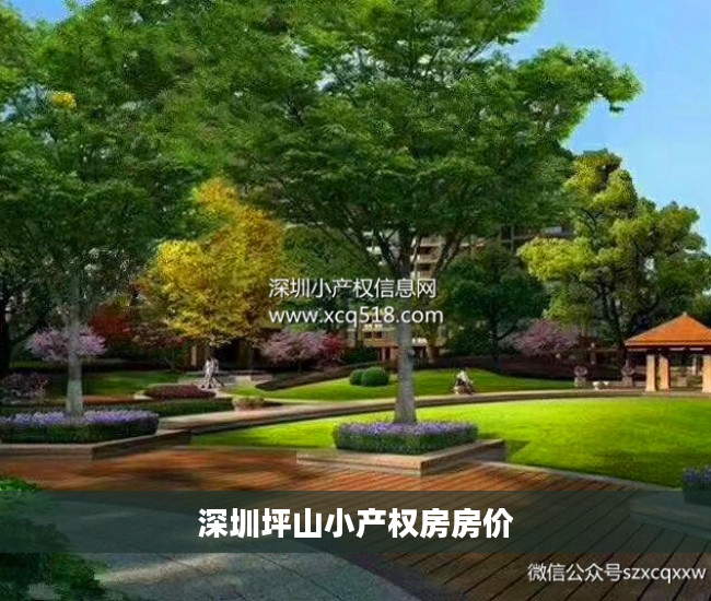 深圳坪山小产权房房价