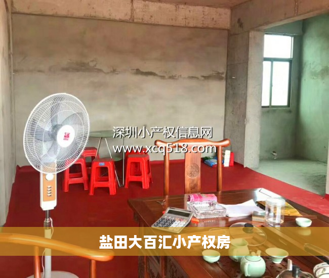 盐田大百汇小产权房